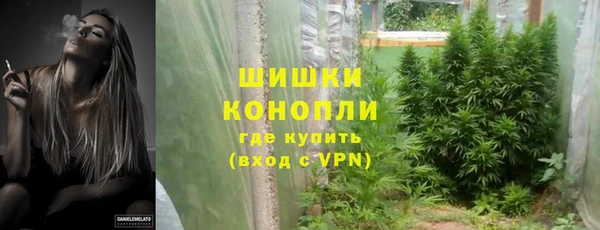 PSILOCYBIN Богородицк