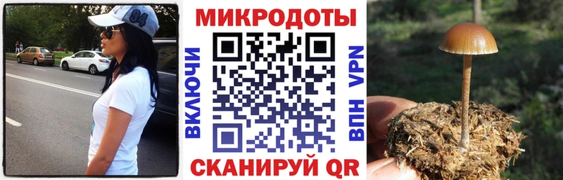 Псилоцибиновые грибы мицелий  Кизел 